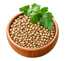 Coriander Seeds